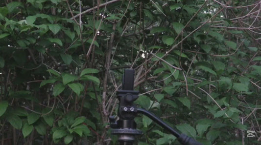 The horns,  Arca Swiss tripod mounted gun rest