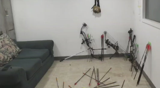 Arrow organizer
